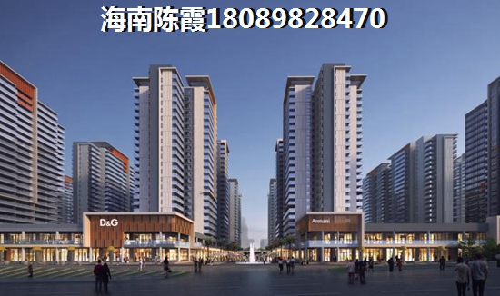 是什么在阻止海南房价下跌？