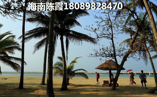东郊椰林壹号适合养老吗？