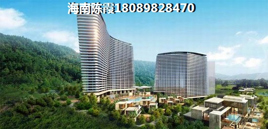 和威月光海岸和威月光海岸纸不纸得入手？