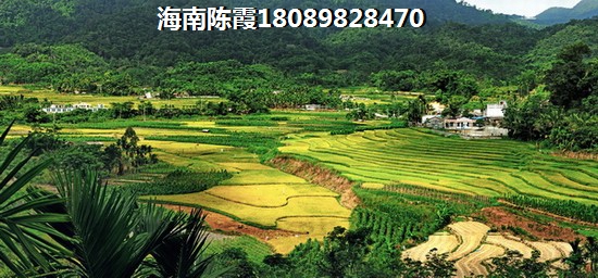 中鼎·瓏璟有什么优惠