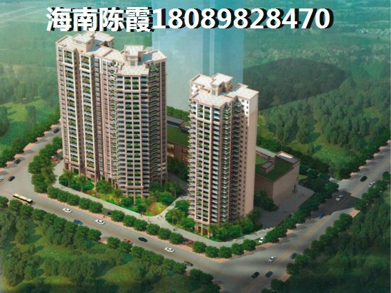 椰海尚品2022什么价格？