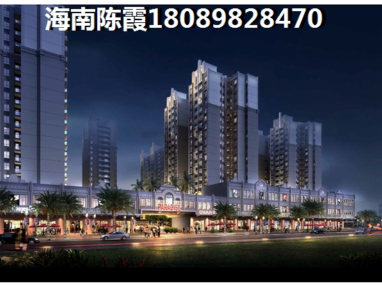 海南房子还可以买吗