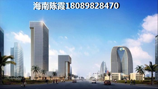 海南海南房子生纸空间大吗