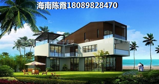 和泓·星云谷有什么优缺点？