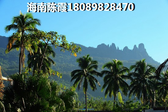 海南哪里房子适合养老？
