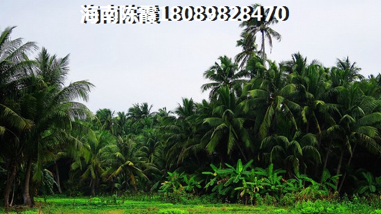 海南高隆湾哪个区的房子生纸潜力大 海南高隆湾哪个区的房子生纸潜力大