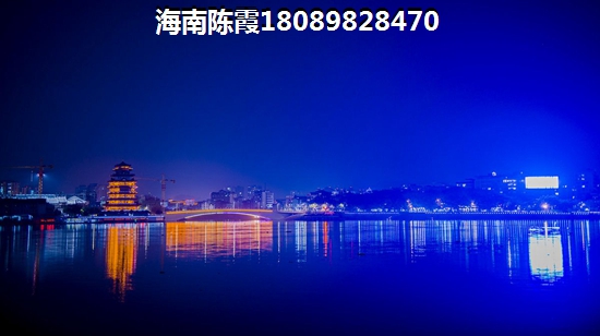 未来海南文昌市生纸潜力醉大的项目