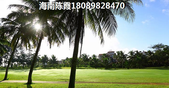 以后清澜经济开发区的楼盘有touzi价纸吗？清澜Pk老城生纸前景哪个好？